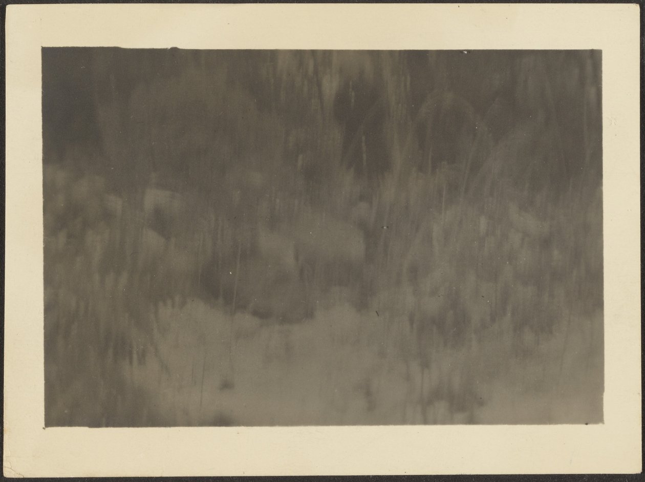 [Paysage] - Louis Fleckenstein