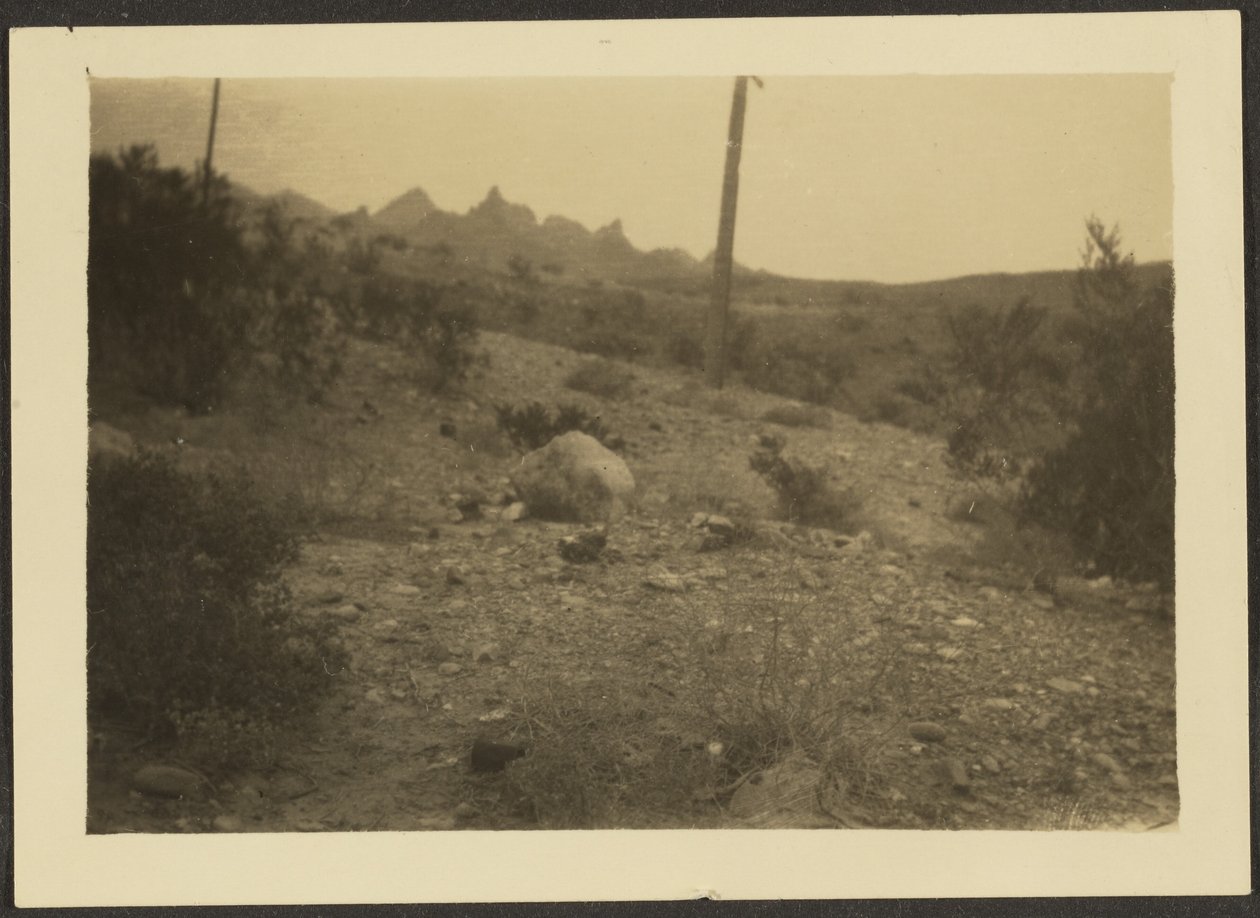[Paysage] - Louis Fleckenstein