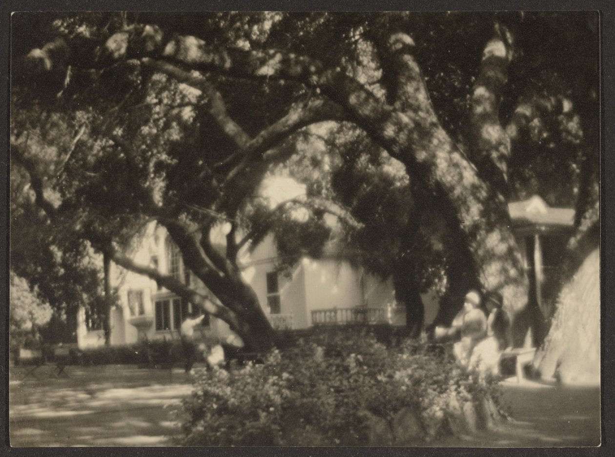 [Paysage] - Louis Fleckenstein