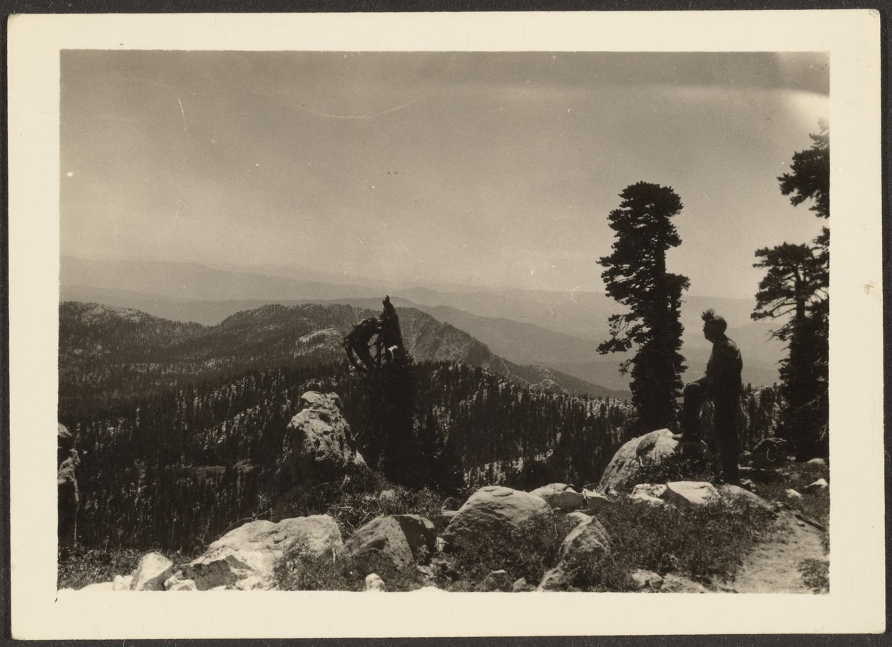 [Paysage] - Louis Fleckenstein