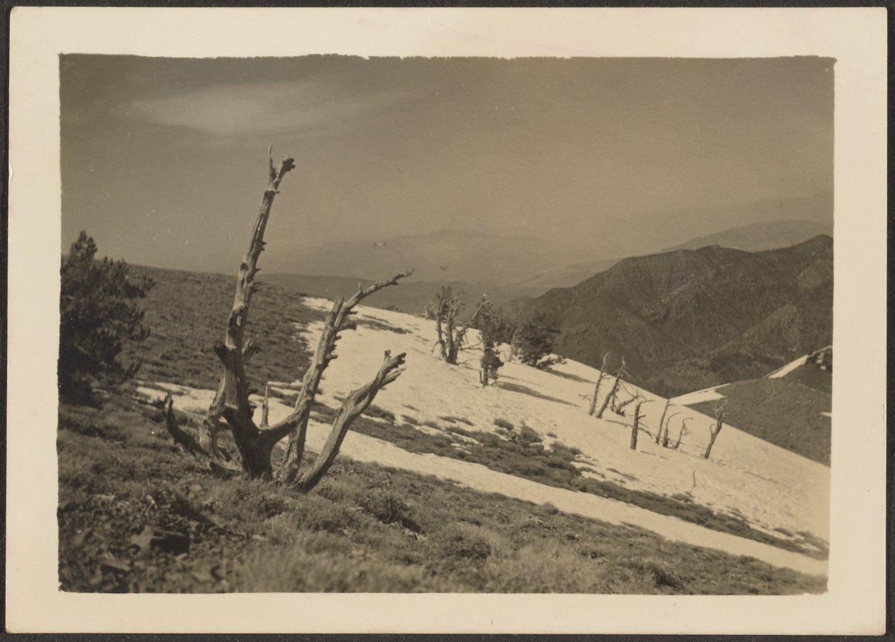 [Paysage] - Louis Fleckenstein