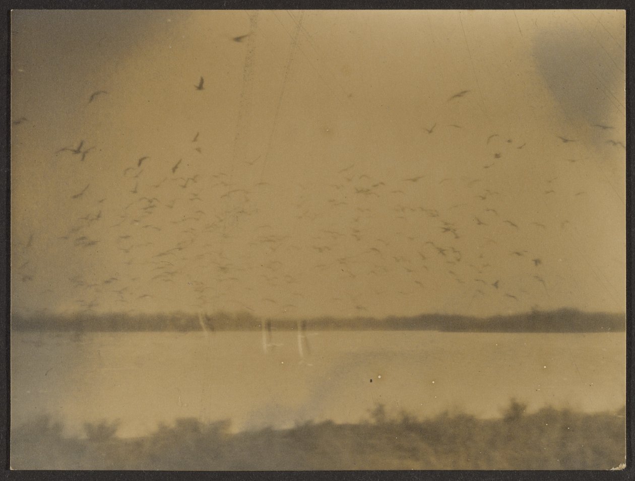 [Paysage avec oiseaux] - Louis Fleckenstein