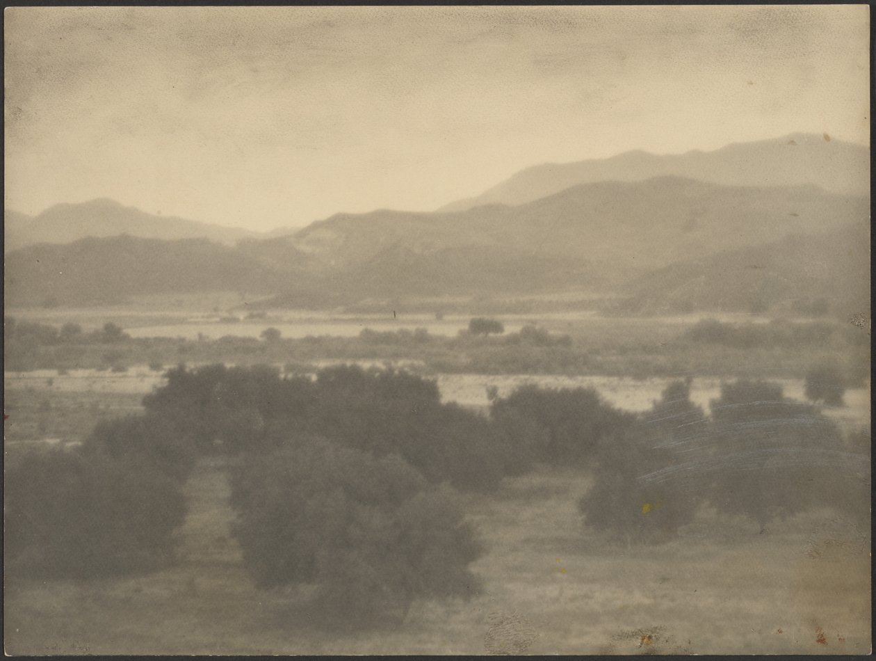 [Paysage avec arbres bas] - Louis Fleckenstein