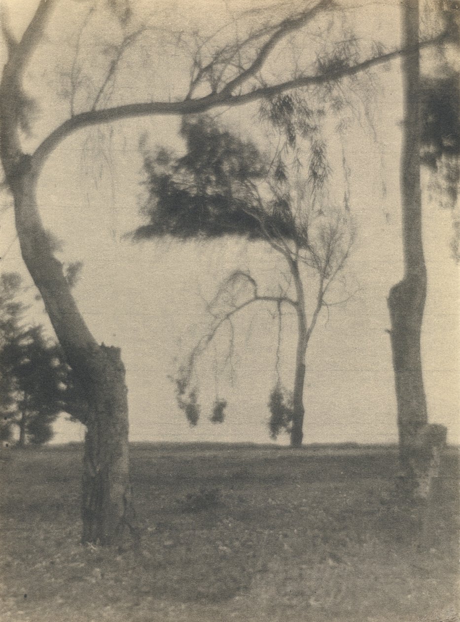 [Paysage avec arbres] - Louis Fleckenstein