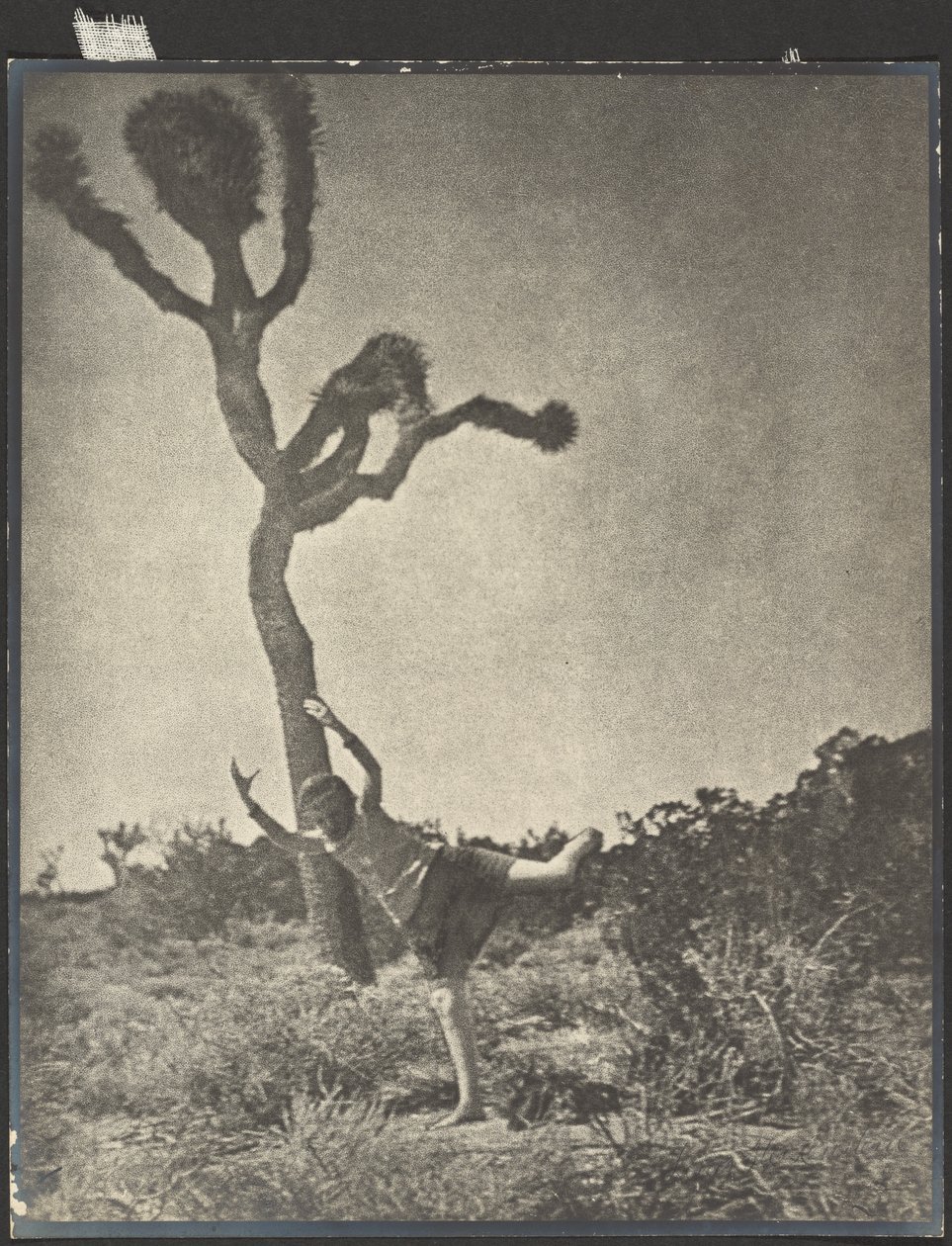 Souple et gracieux - Dancing Joshua - Louis Fleckenstein