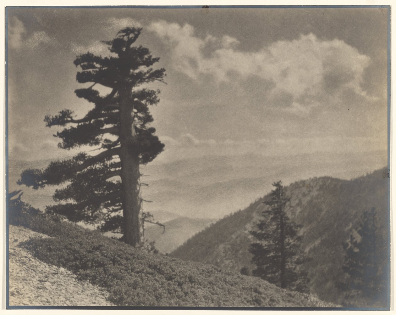 [Sur la crête vers Old Baldy] - Louis Fleckenstein