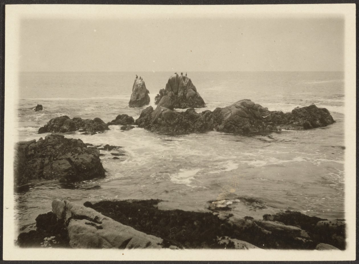 [Paysage marin] - Louis Fleckenstein