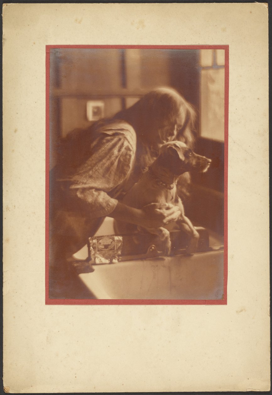 Journée de shampoing - Louis Fleckenstein