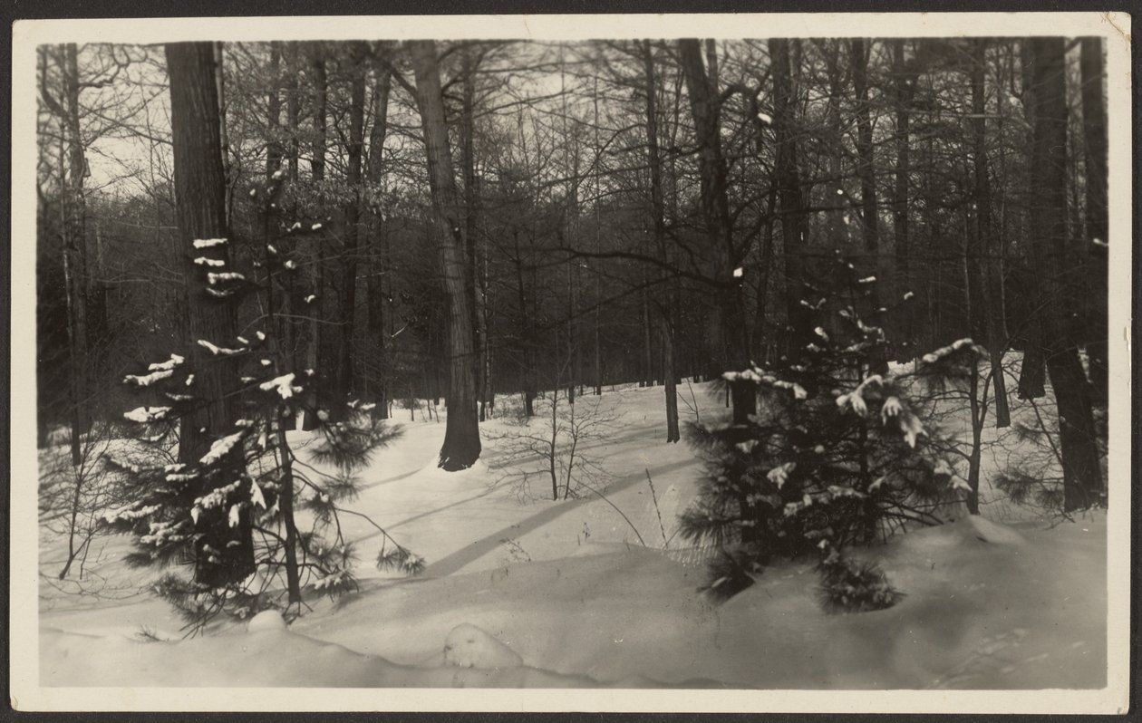 [Paysage enneigé] - Louis Fleckenstein