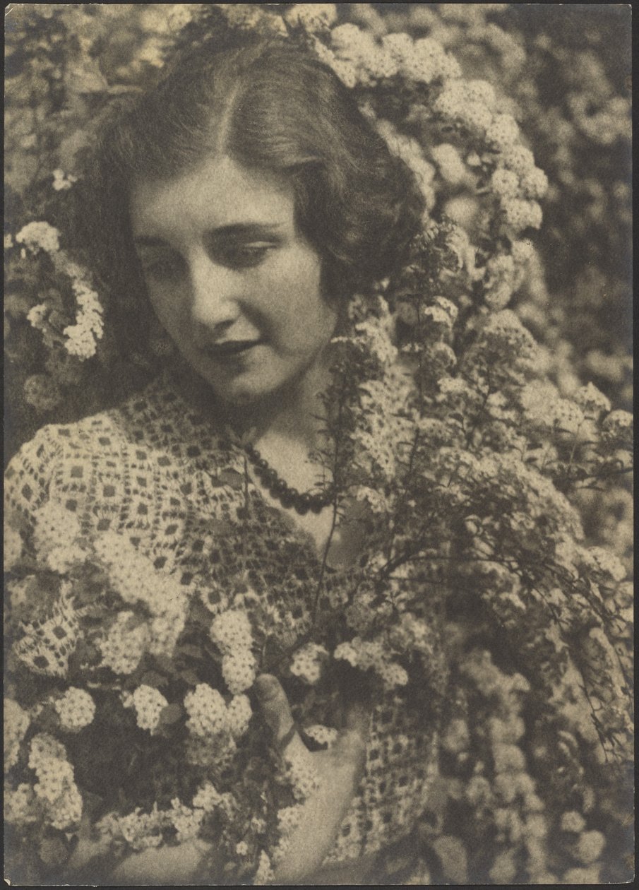 Spirea - Louis Fleckenstein