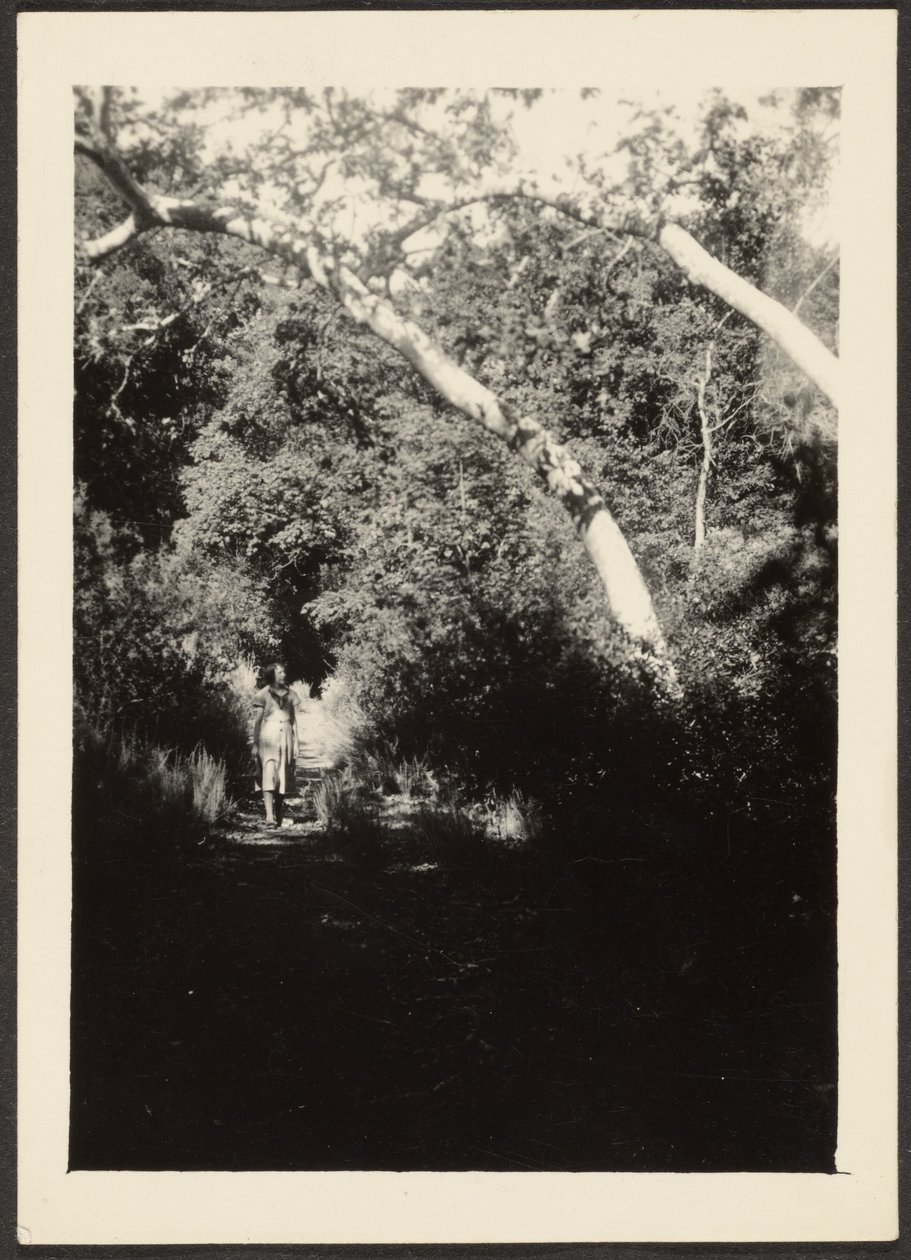 [Femme sur un sentier dans les bois] - Louis Fleckenstein