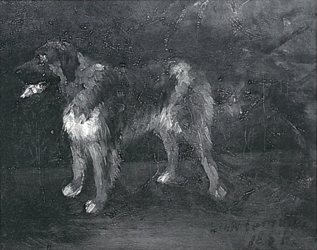 Études de chiens - Lovis Corinth