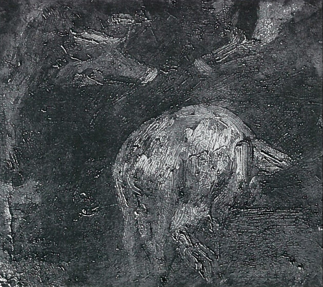 Études de cochons - Lovis Corinth