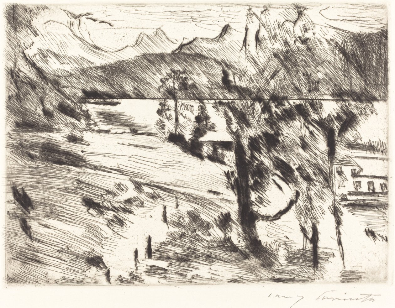 Paysage de Walchensee - Lovis Corinth