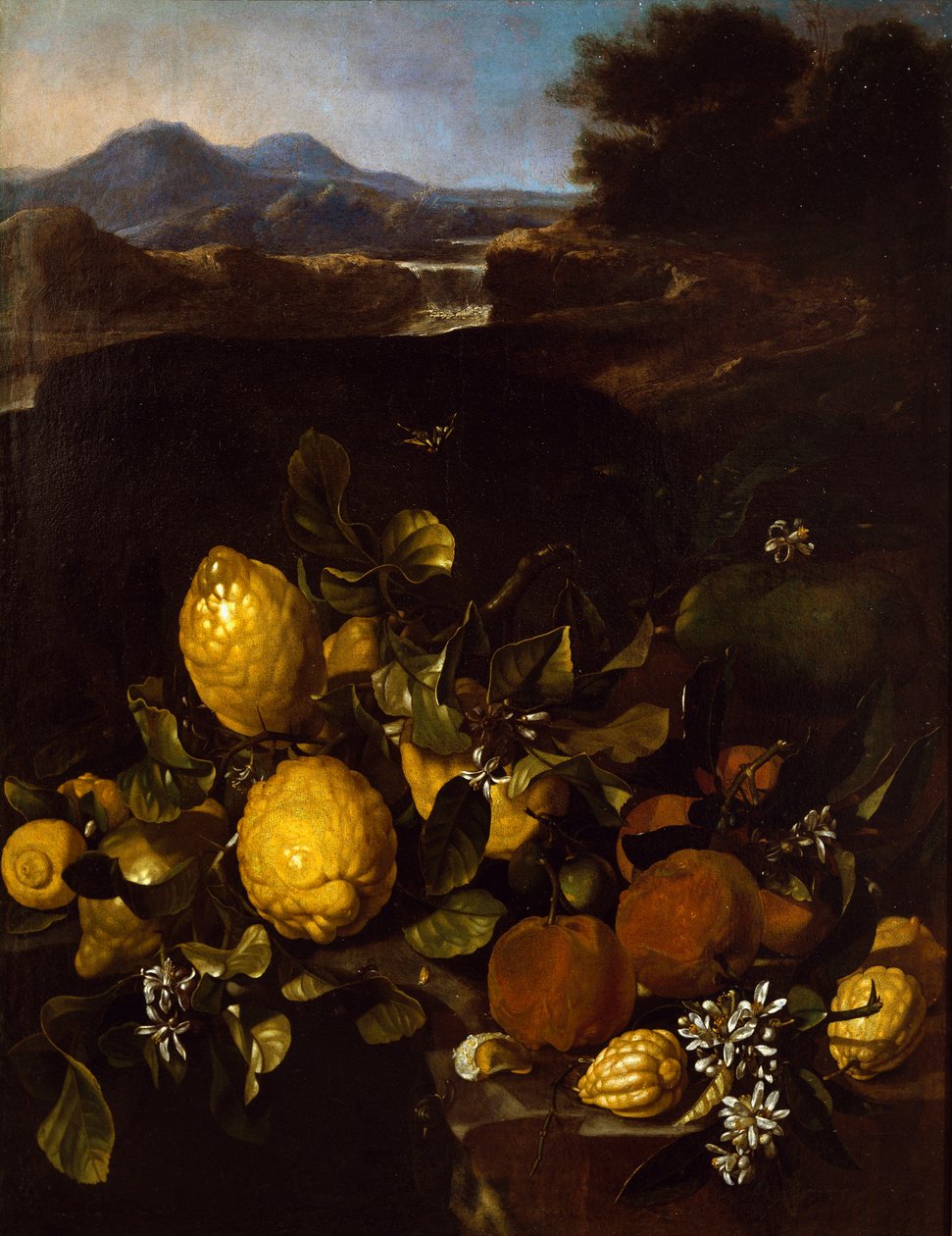 Nature morte - Luca Forte