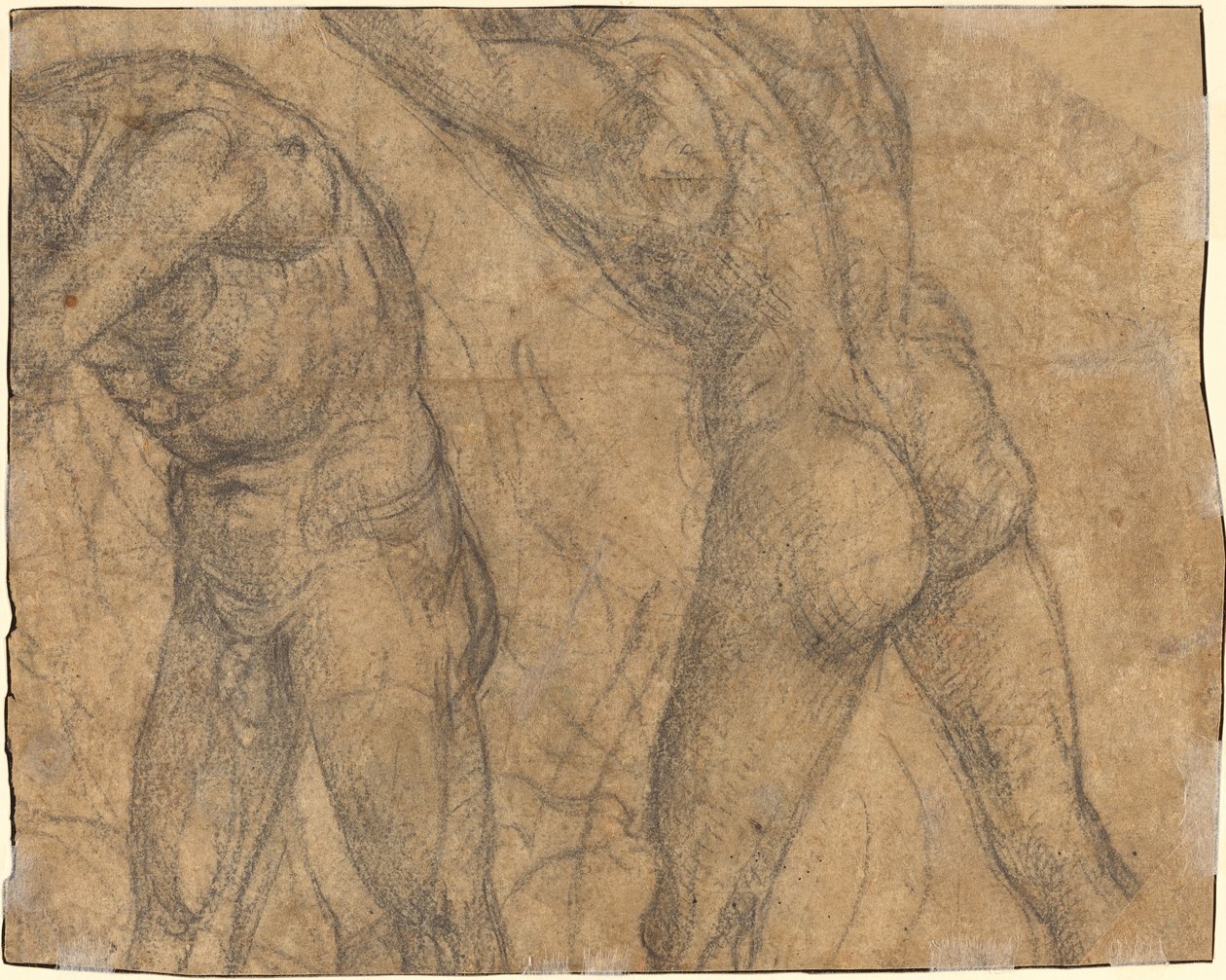 Deux Figures Nues (verso) - Luca Signorelli