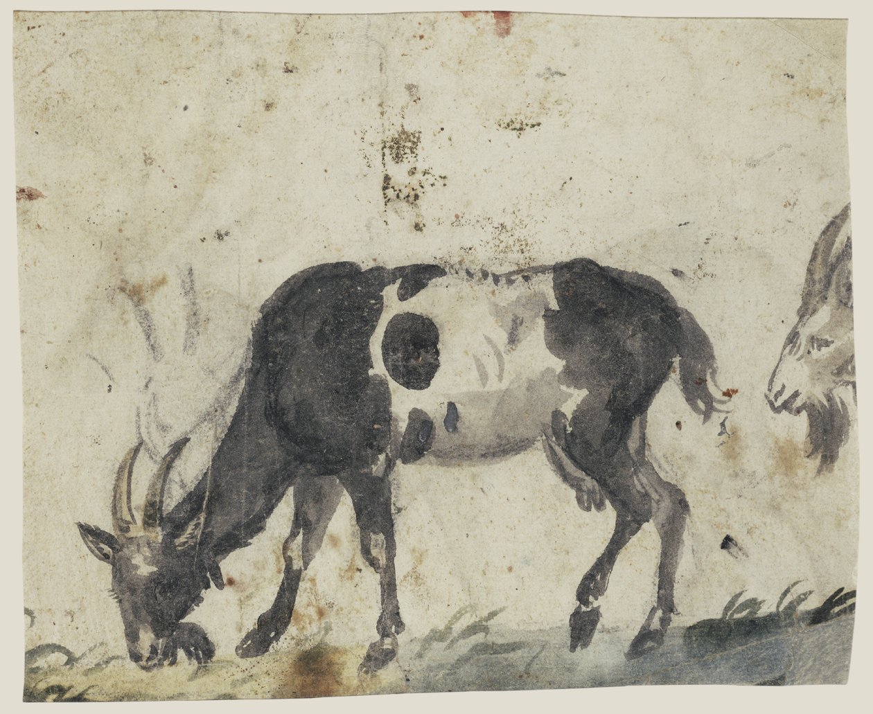 Étude avec des chèvres - Lucas Cranach the Elder
