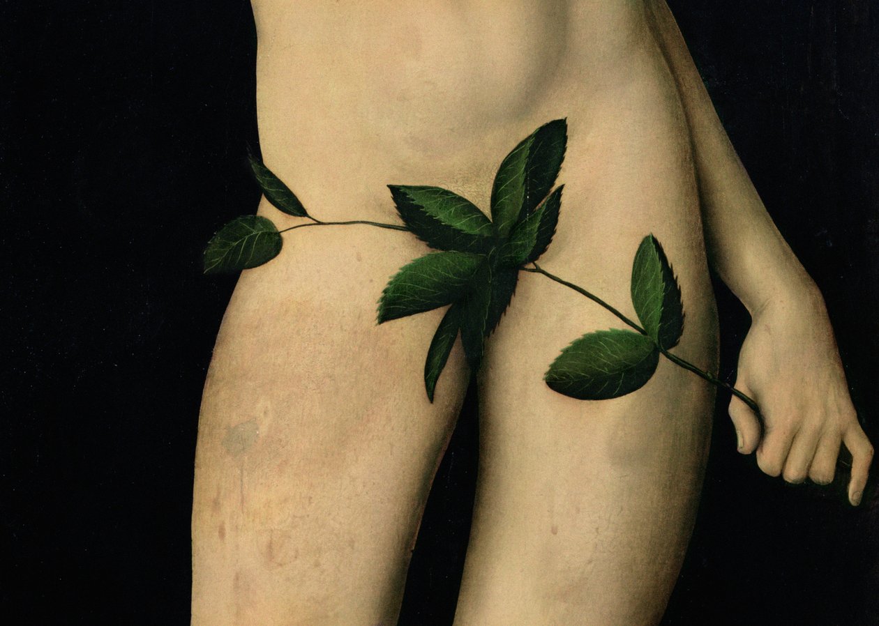 Adam, 1528 (détail) - Lucas Cranach the Elder