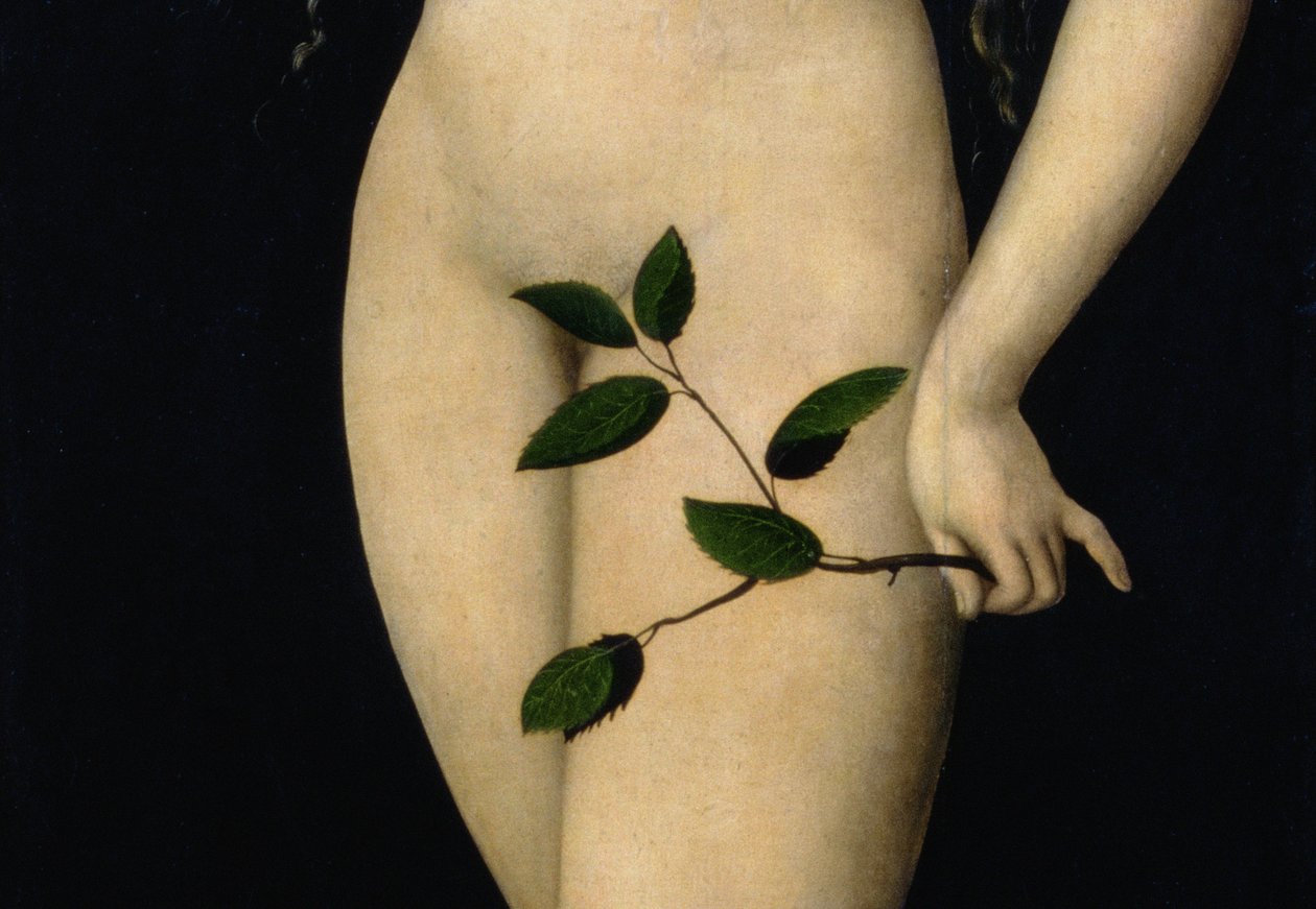 Ève, 1528 (détail) - Lucas Cranach the Elder