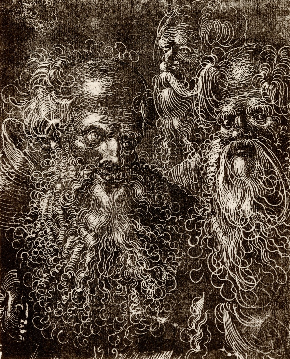 Diverses études de têtes - Lucas (school of) Cranach