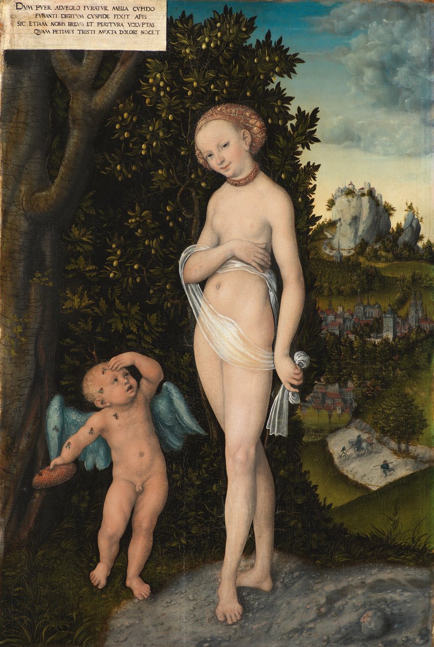 Vénus avec Cupidon volant du miel - Lucas Cranach d.Æ.