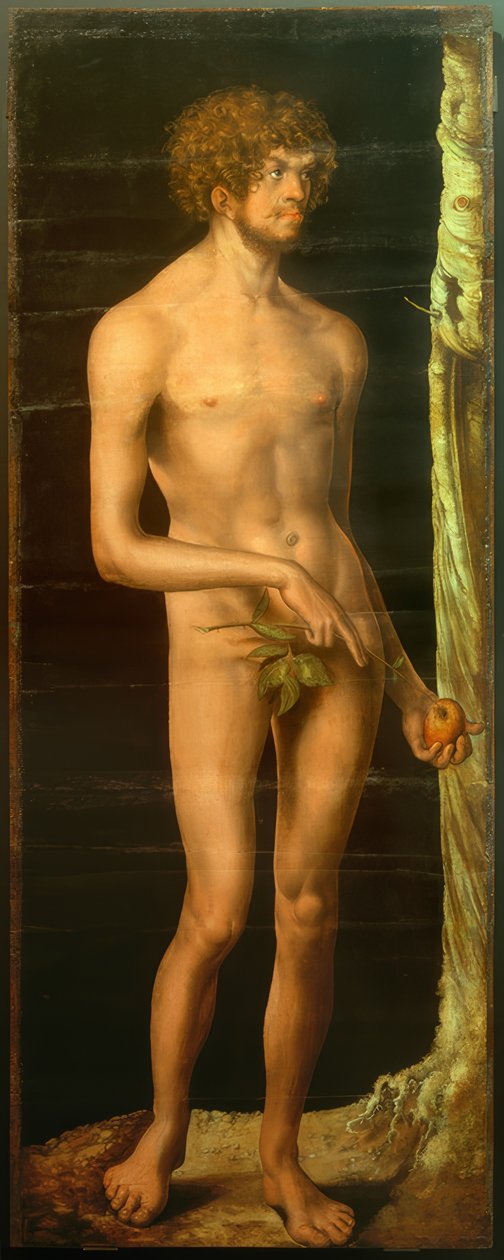 Adam - Lucas Cranach the Elder