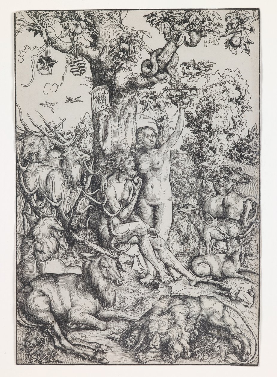Adam et Eve au paradis - Lucas the Elder Cranach