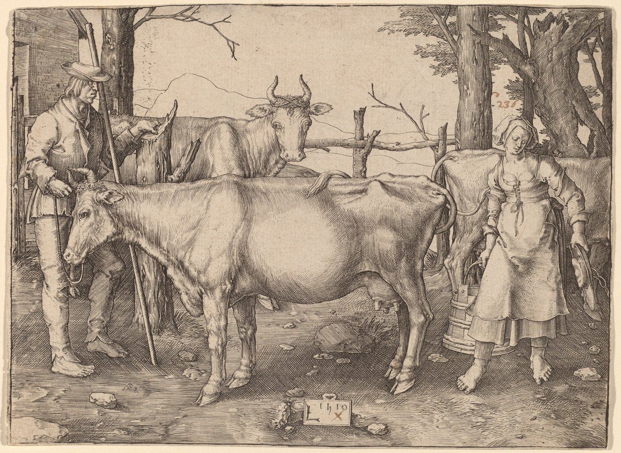La laitière - Lucas van Leyden