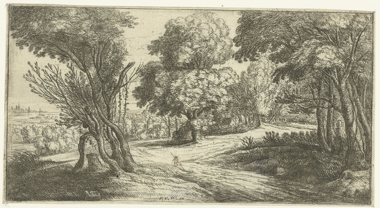 Paysage forestier - Lucas van Uden