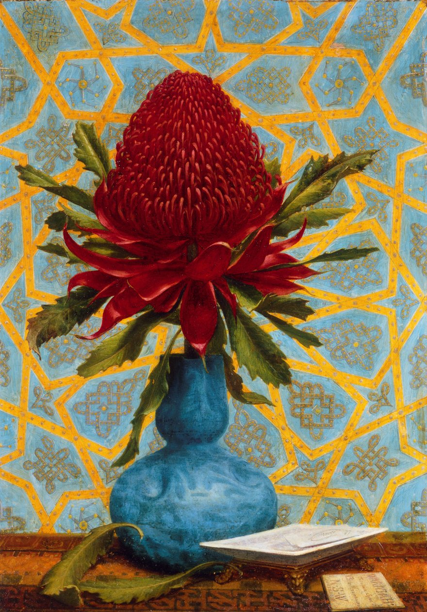Waratah - Lucien Henry