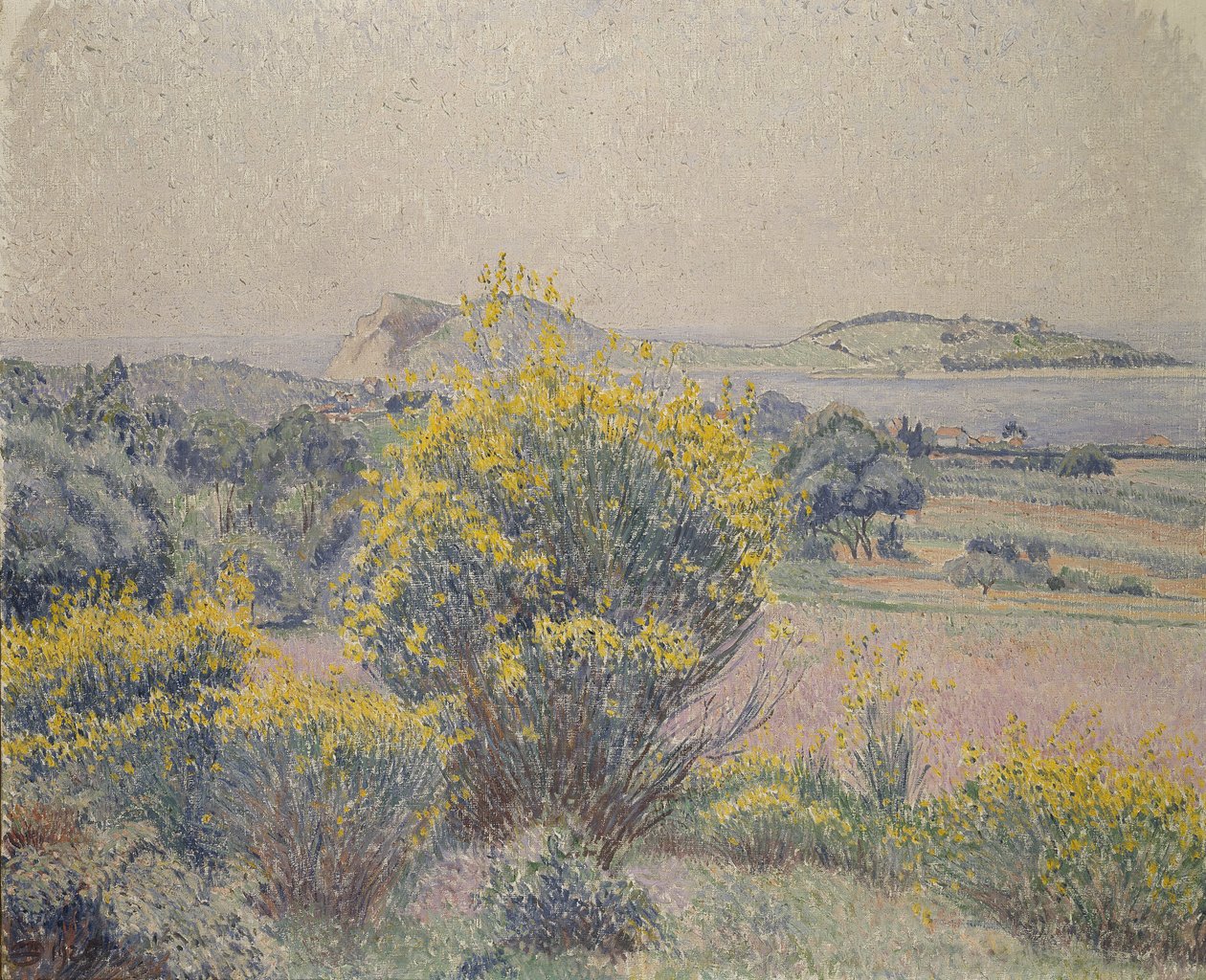 Broom, Le Brusq, 1925 - Lucien Pissarro