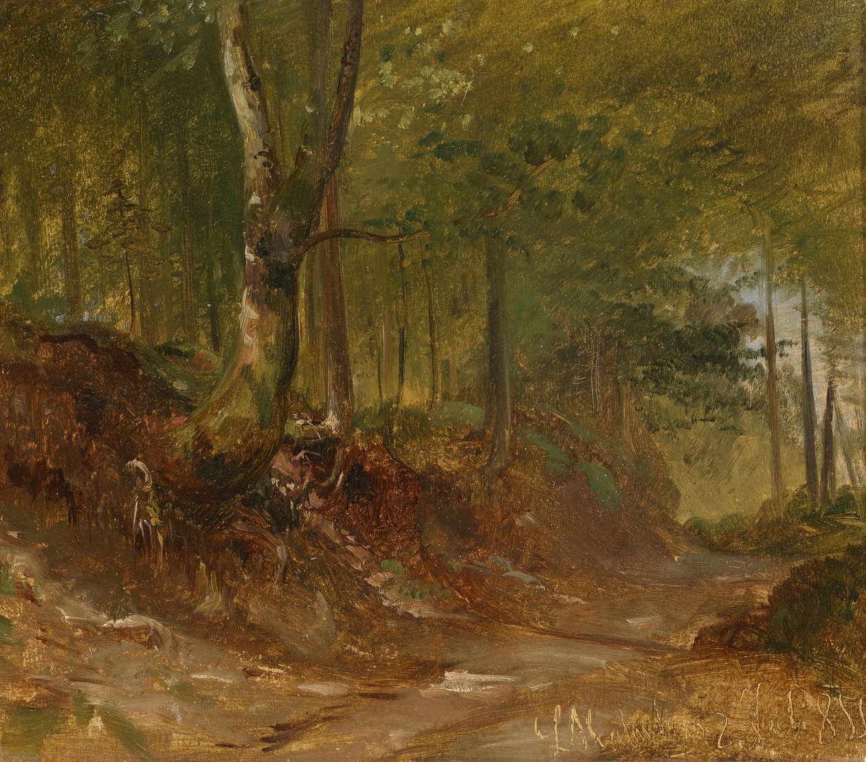 Un chemin forestier - Ludwig Halauska