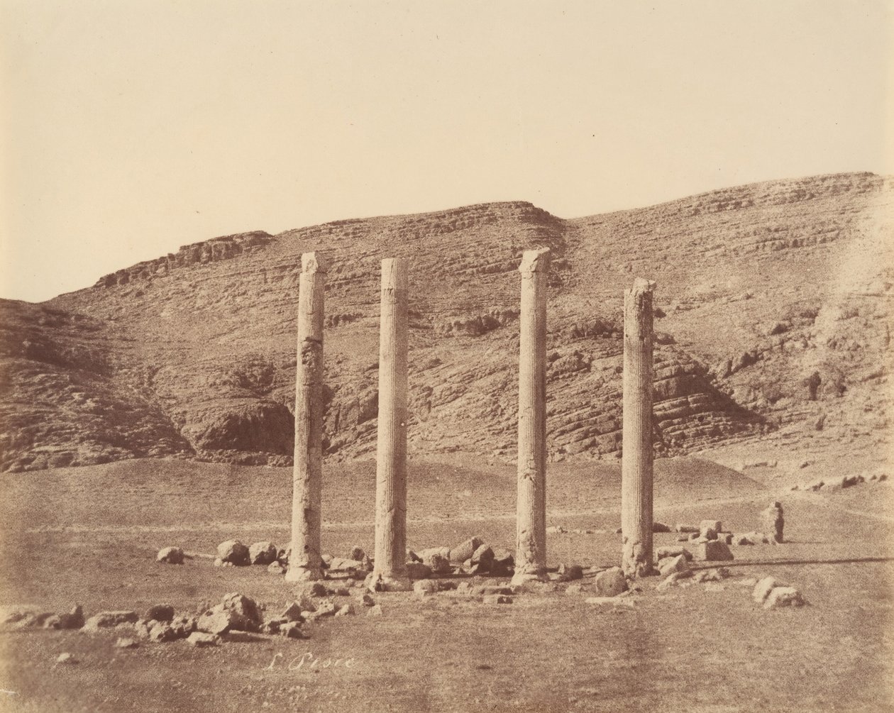 Persepolis - Luigi Pesce
