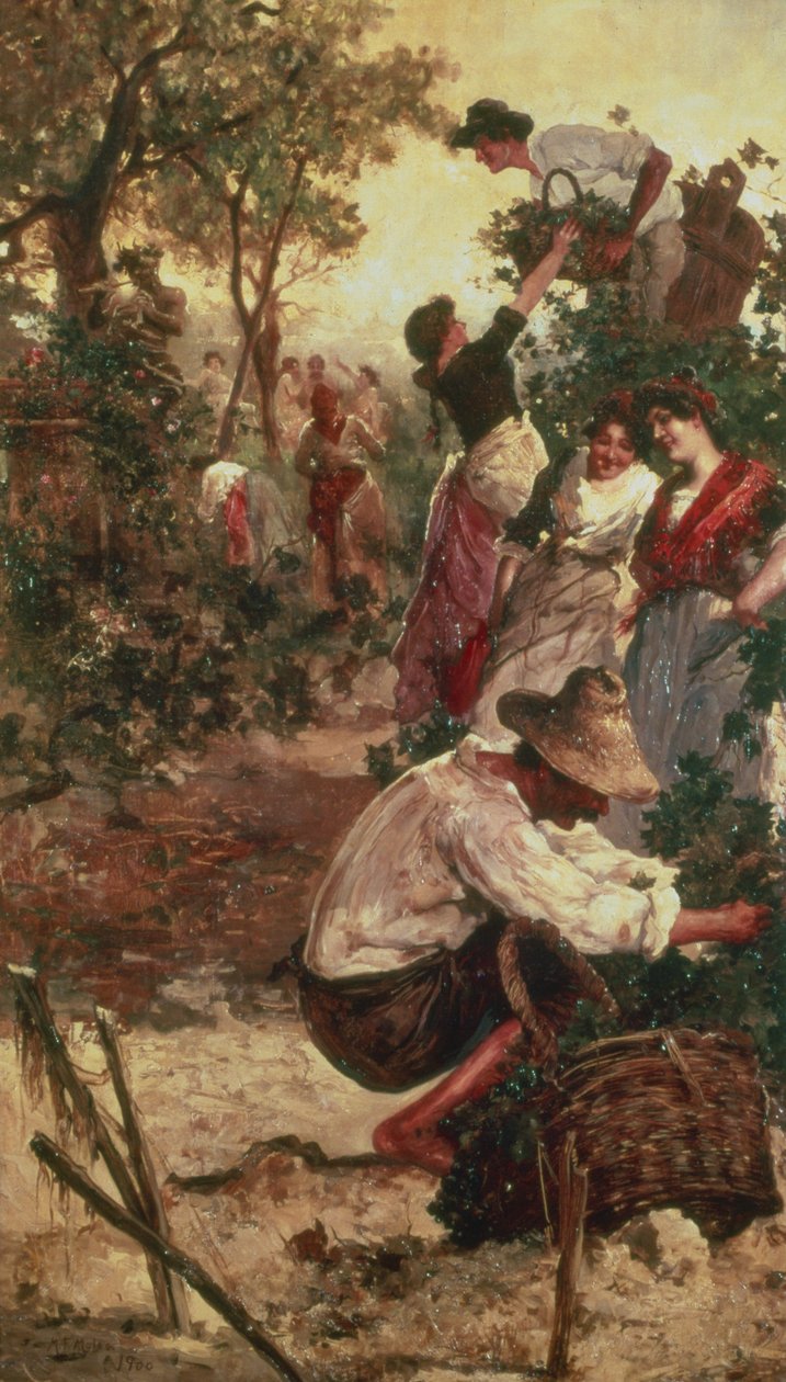 La récolte des raisins - M.F. Moles