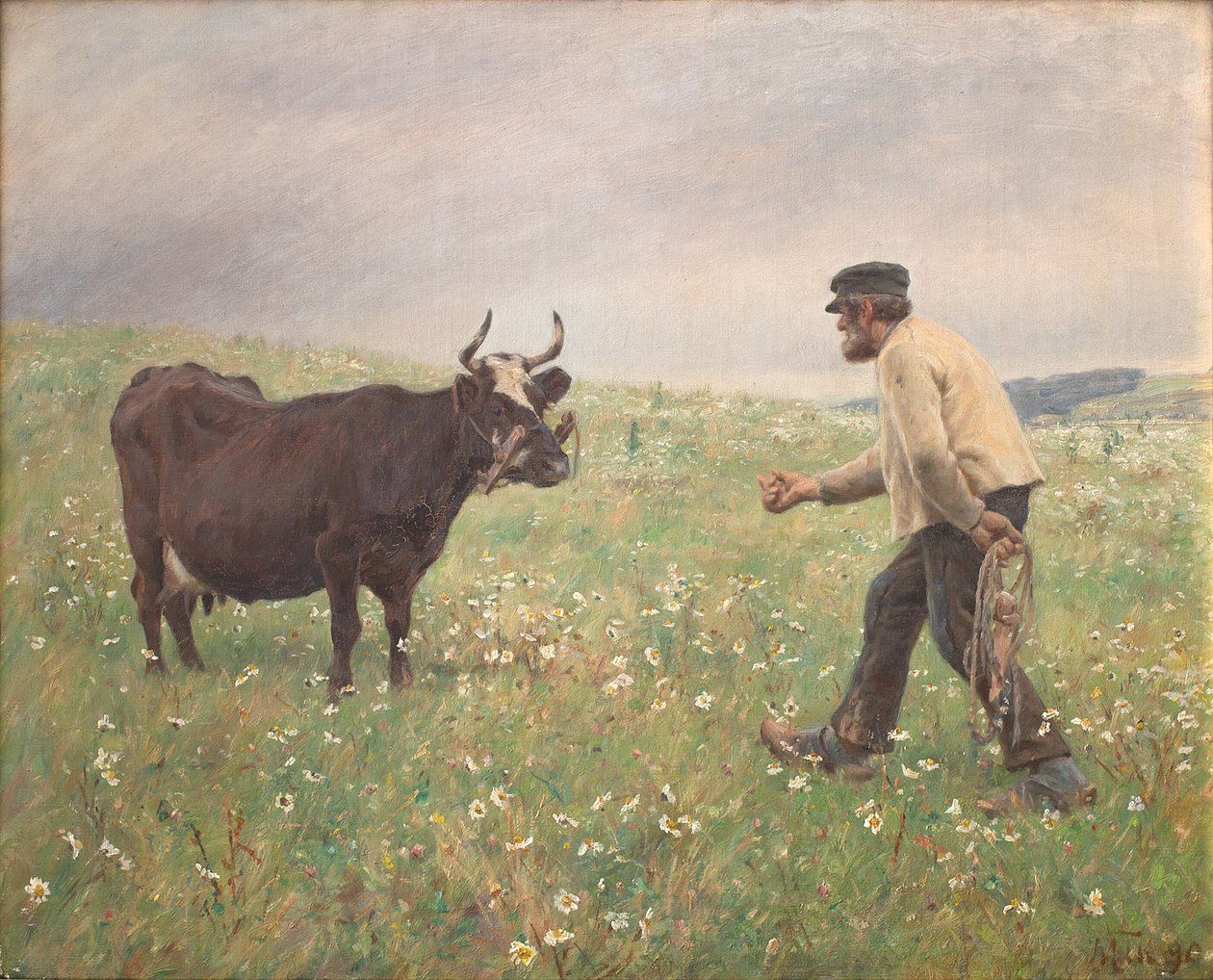 Une vache en liberté - M. Therkildsen