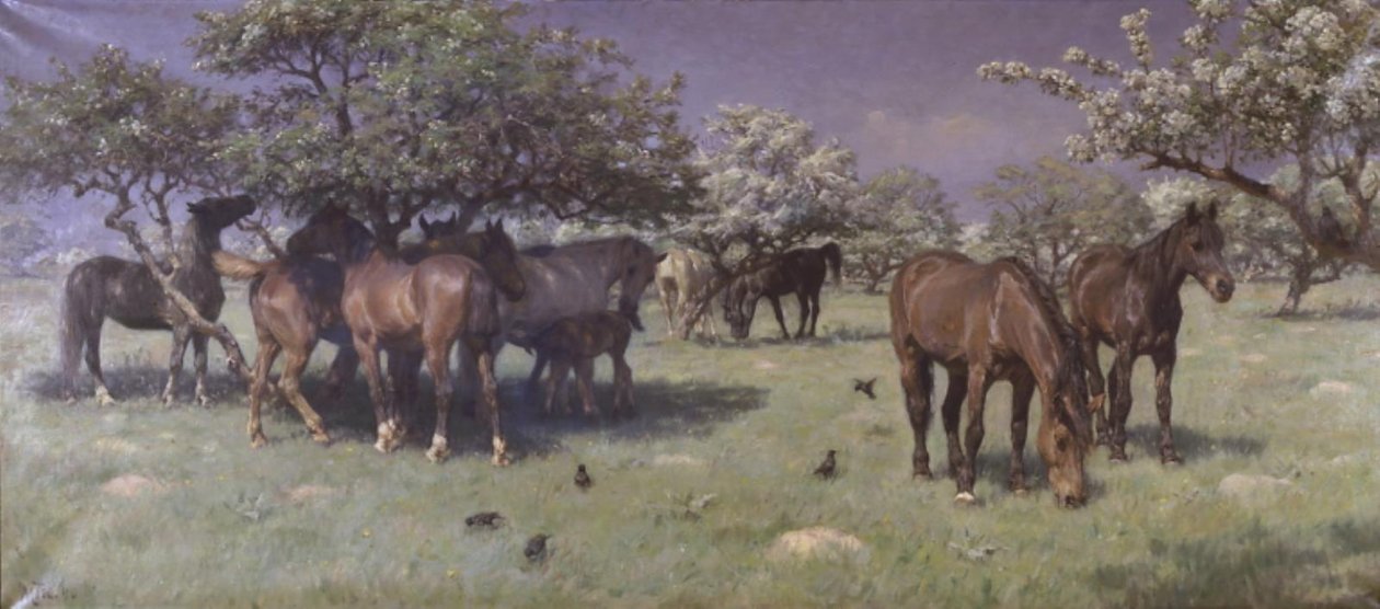 Chevaux dans le parc aux cerfs - M. Therkildsen
