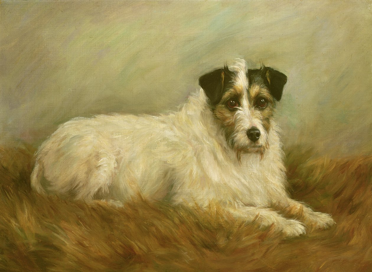 Terrier - Mabel Hastings