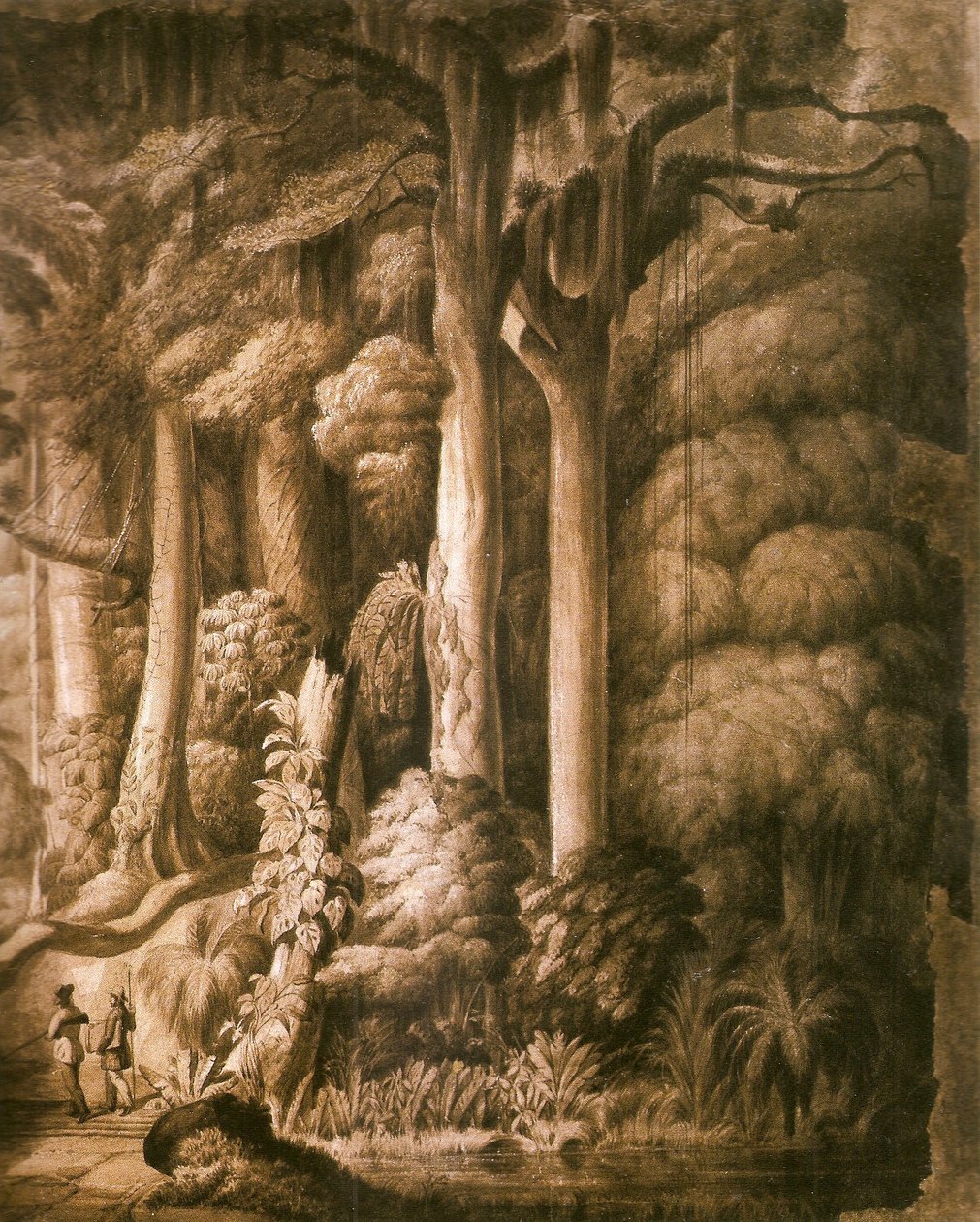 Détail de la forêt brésilienne - Manuel Araújo de Porto Alegre