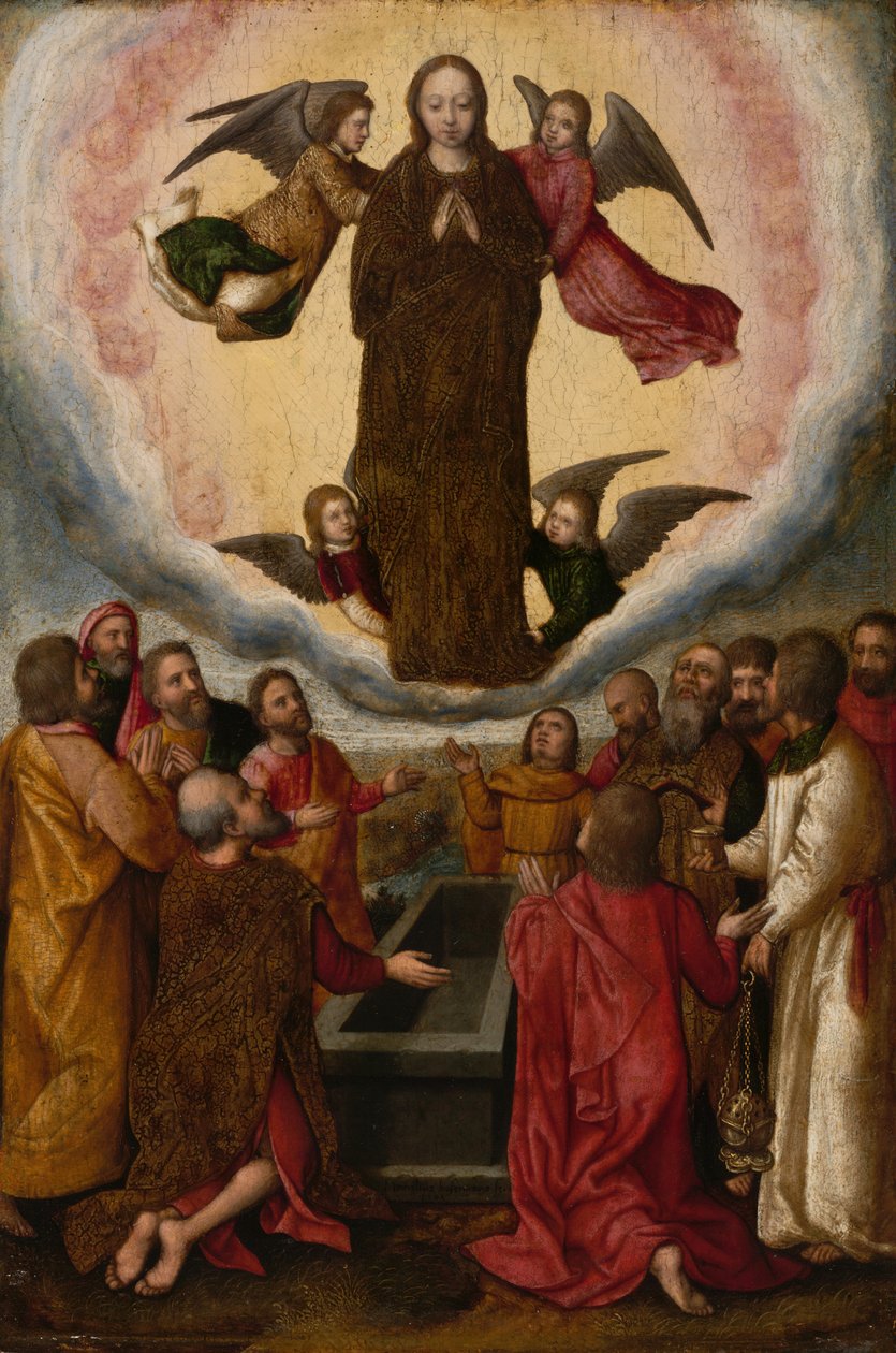 Assomption de la Vierge - Marcellus Coffermans