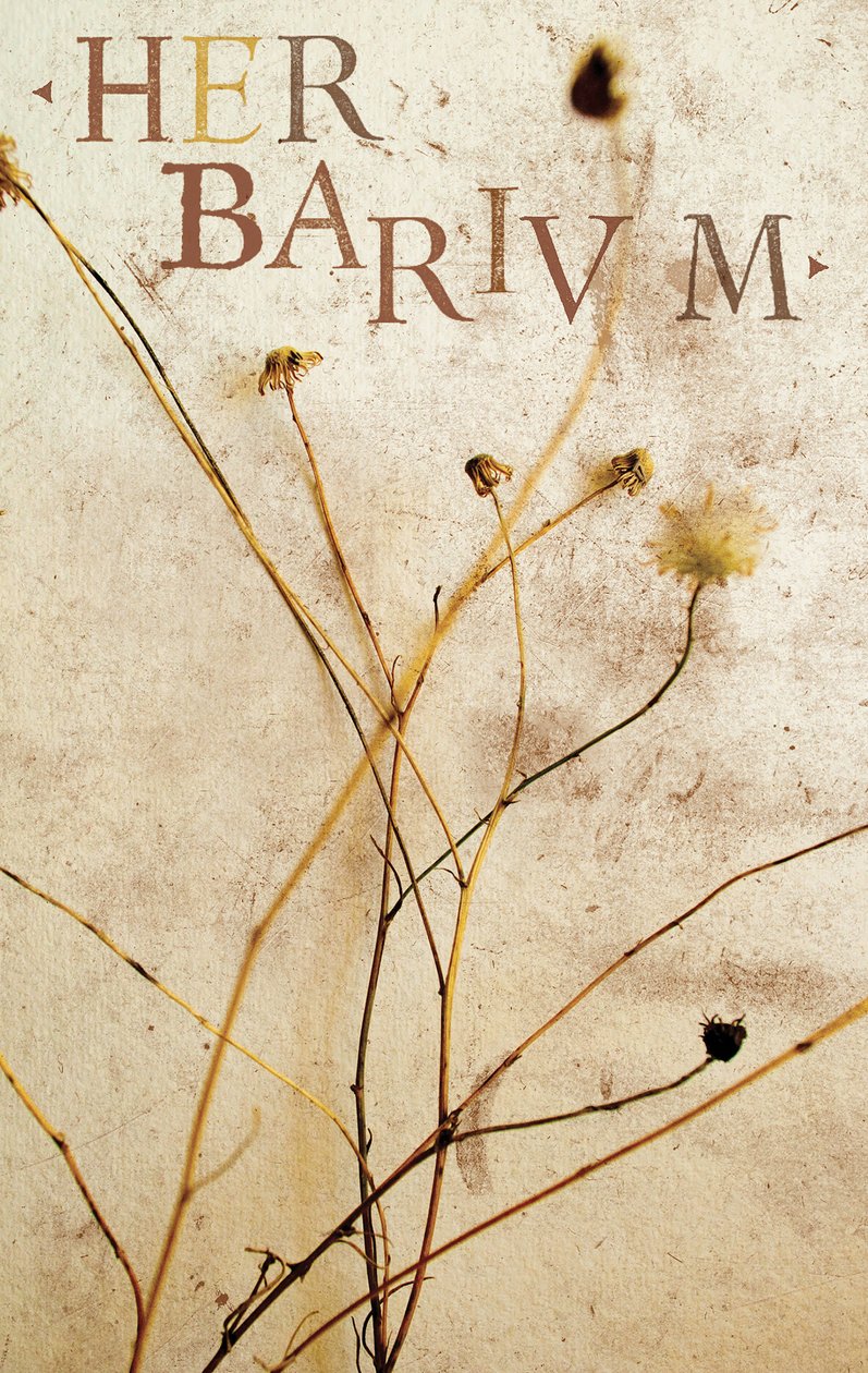 Herbier, 2014 (techniques mixtes) - Marco Campedelli