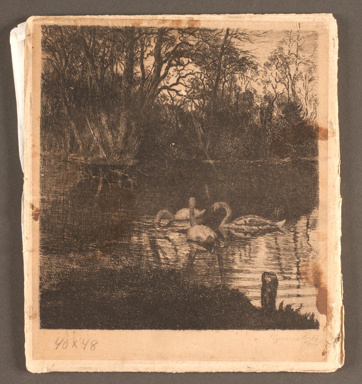 Motif avec des cygnes. Jardin de Frederiksberg - Marcus Bech Fritz
