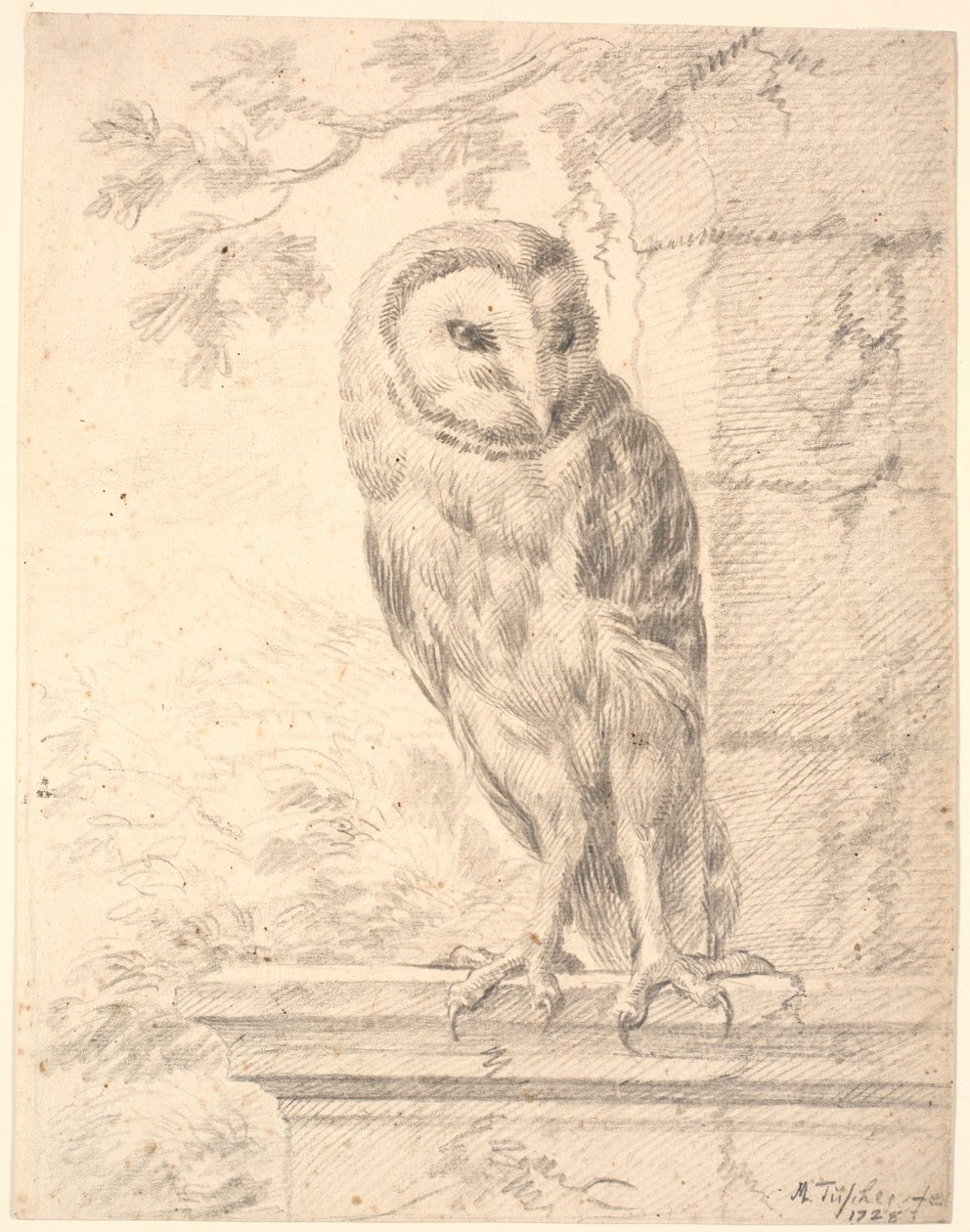 La chouette du baron von Stosch - Marcus Tuscher