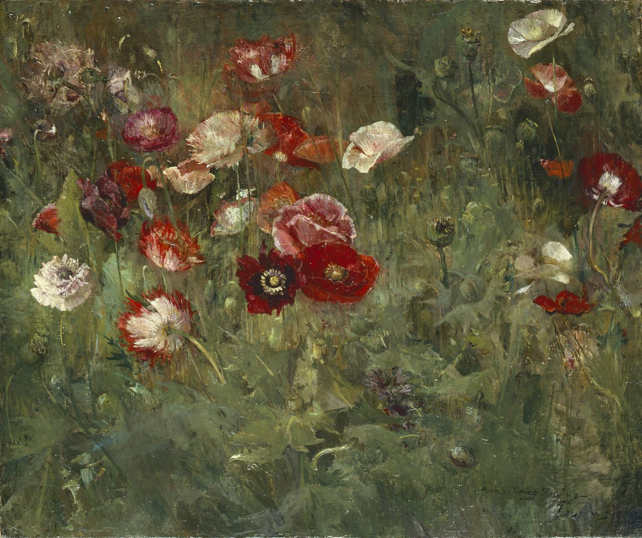 Un lit de coquelicots, 1909 - Maria Oakey Dewing