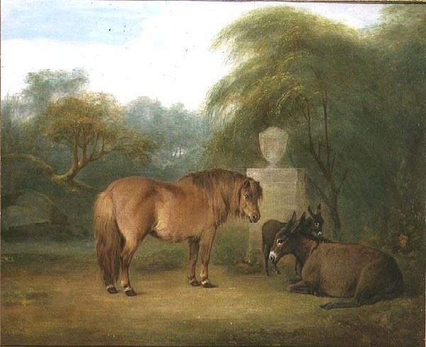 Poney et ânes dans une clairière - Maria Spilsbury