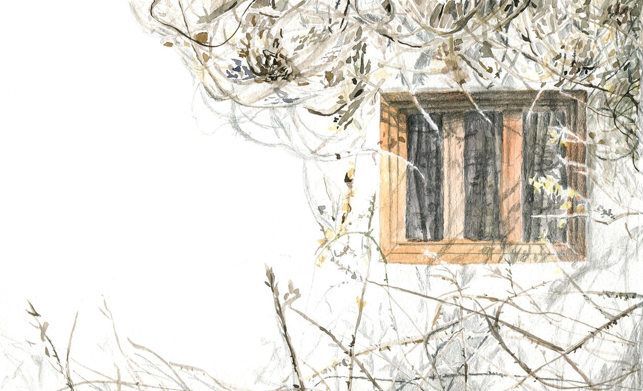 Espaces et plantes, 2020 - Maria Basea