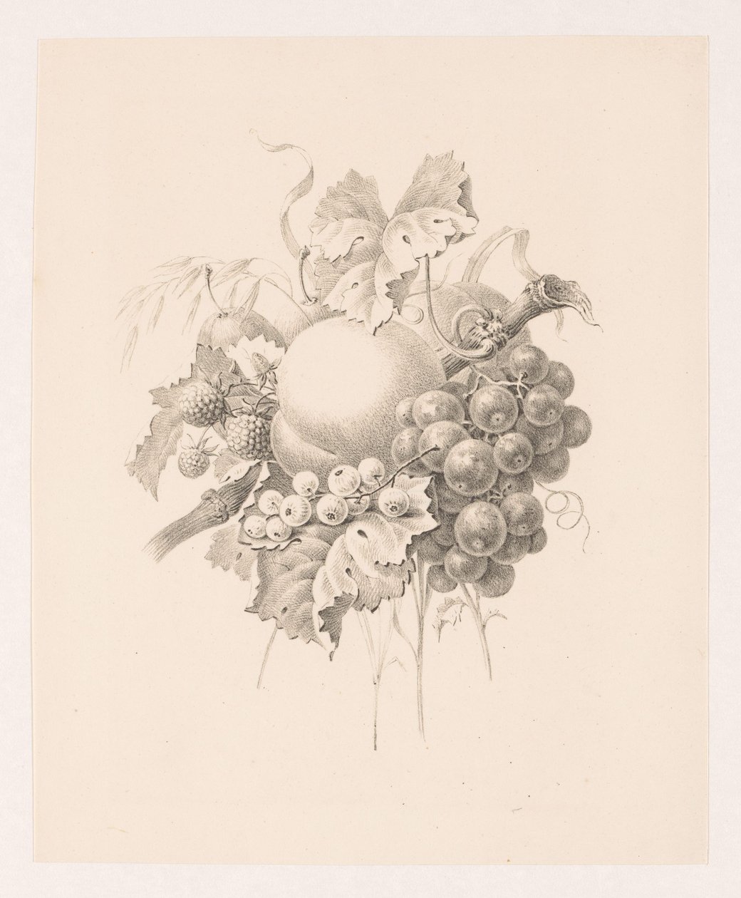 Composition de fruits - Maria Geertruida de Goeje Barbiers (attributed to)