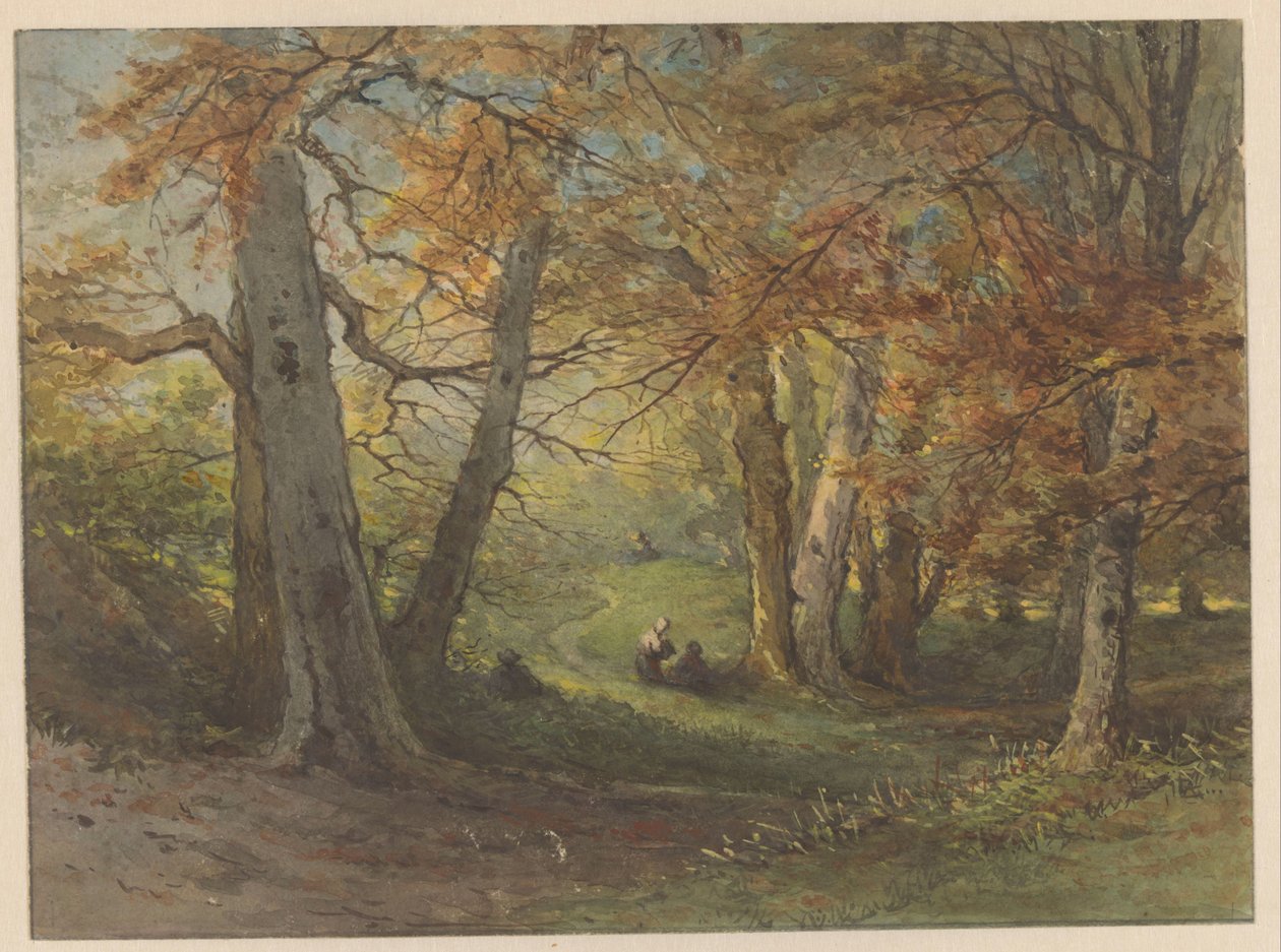 Vue de forêt près d