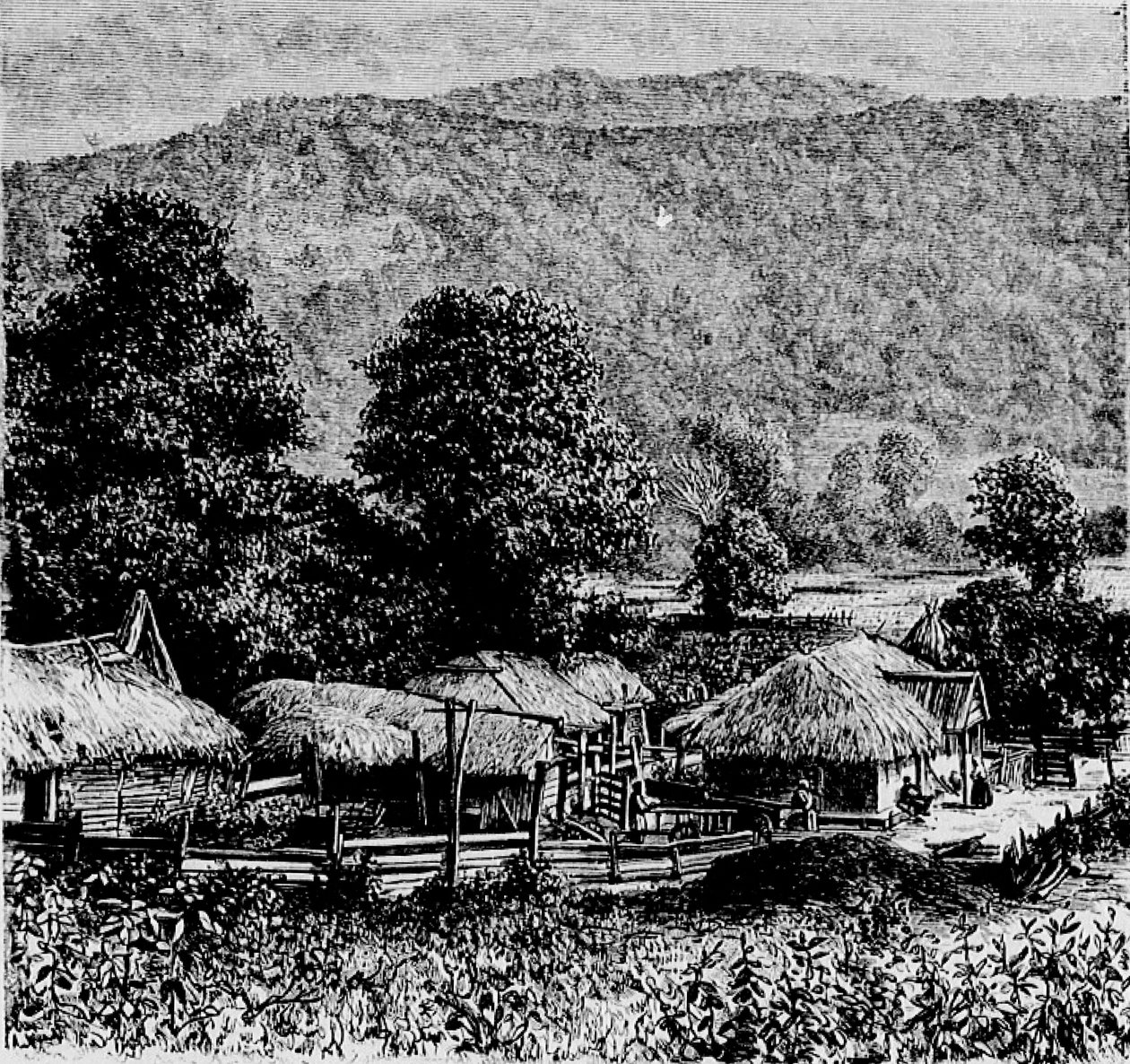 Village mingrélien - Marie Dronsart