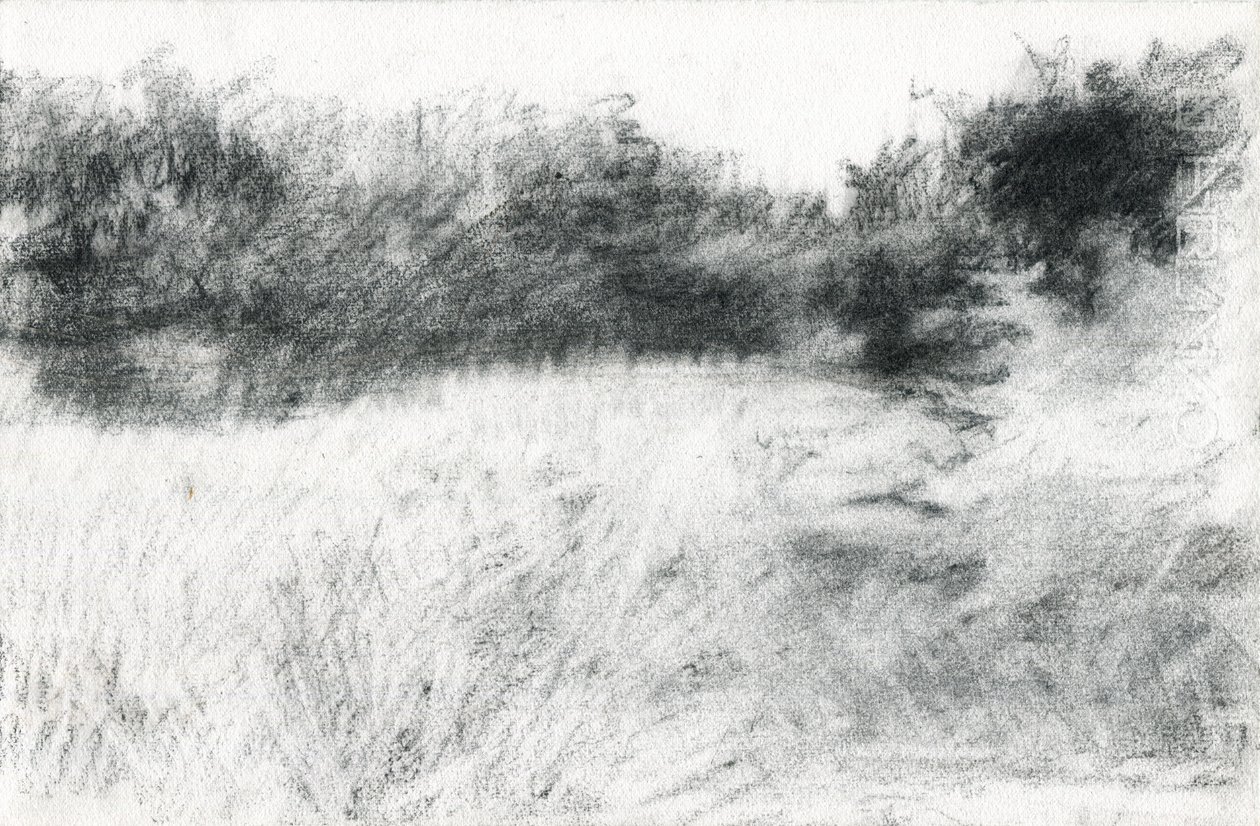 Paysage, 2021 - Marina Falco