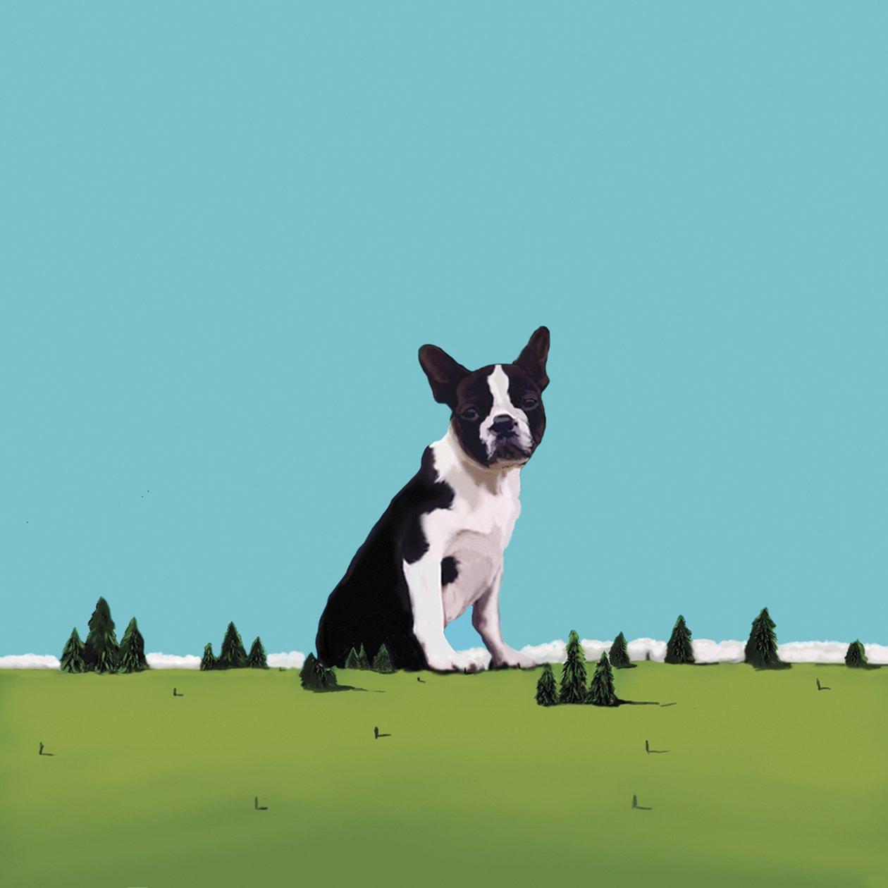 Boston Terrier - Marjorie Weiss